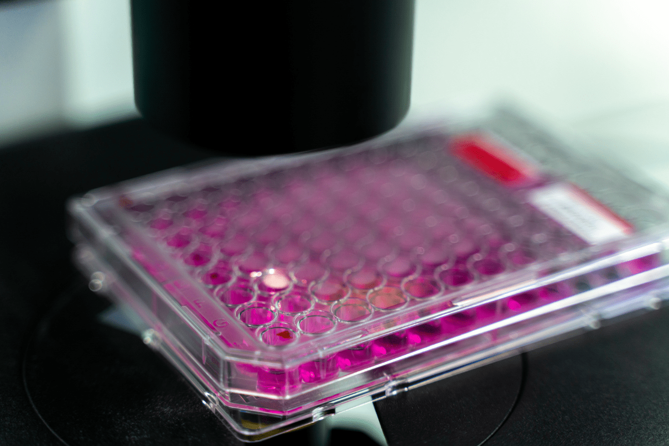 USM manipulant des échantillons environnementaux