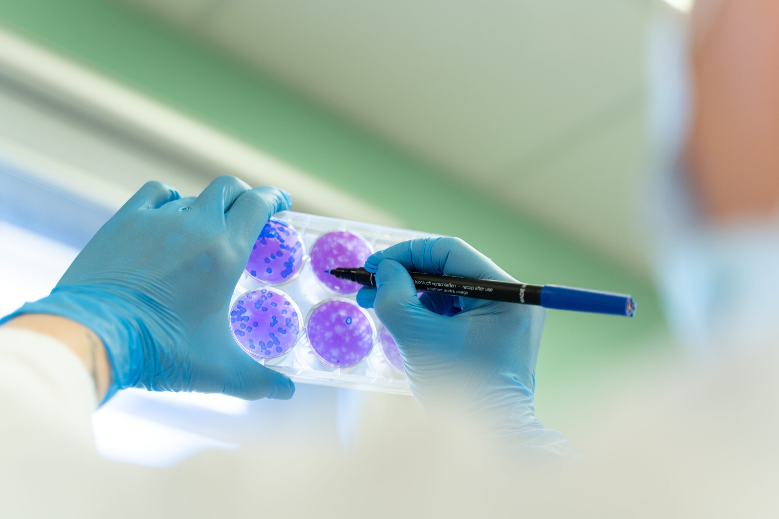 Manipulation en laboratoire pour évaluer les risques microbiologiques environnementaux