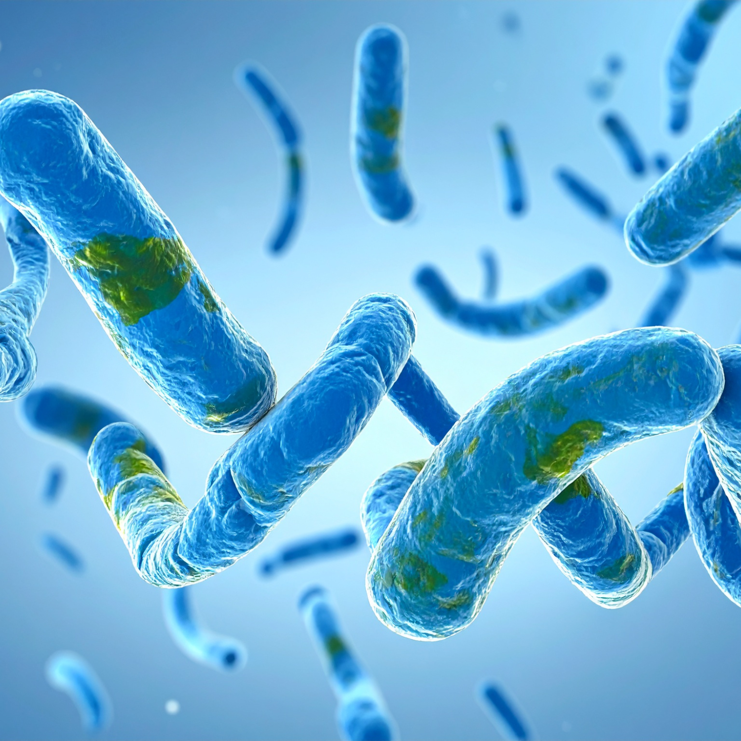 Découverte d’un nouveau levier thérapeutique pour lutter contre les infections et la résistance antimicrobienne