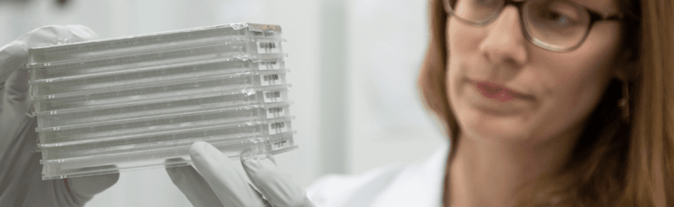 Antibiorésistance et COVID-19 : à la recherche de nouveaux médicaments