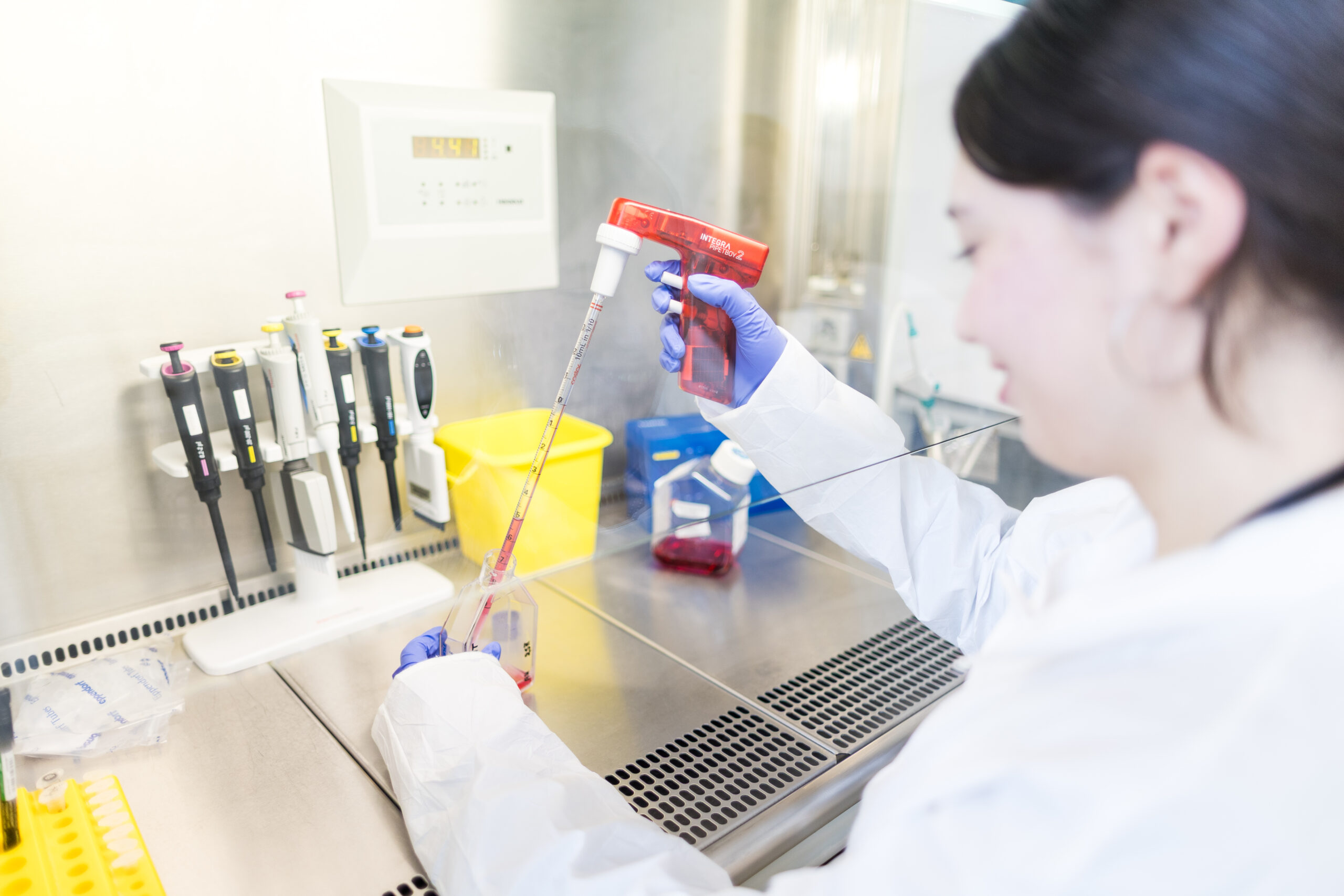 Maladies émergentes et antibiorésistance : un programme innovant face à ces deux phénomènes alarmants